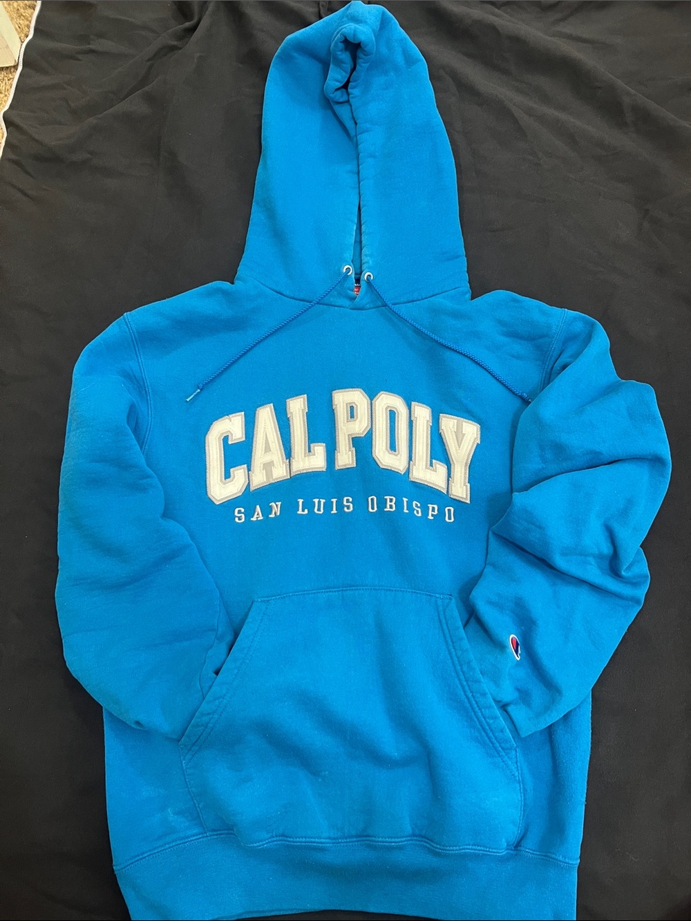 Champion Teal Blue Hooded Sweatshirt with Drawstring